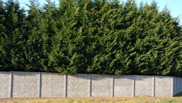 Kerítéssablon akciónk kedvez az olcsó kerítés építésnek
